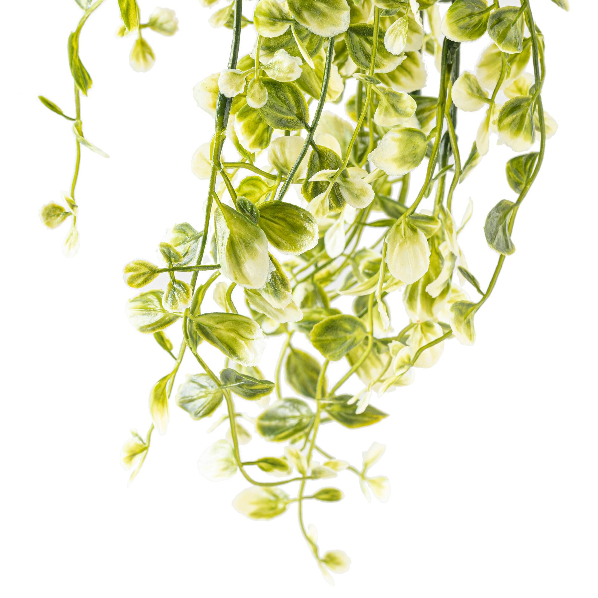 Two Toned Green Hanging Smilax Bush by Ashland®